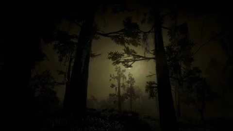Horror Scene at Night, Dark Forest, Mystical Trees, Moonlight, Scary in the Fog Stock Footage 270464183