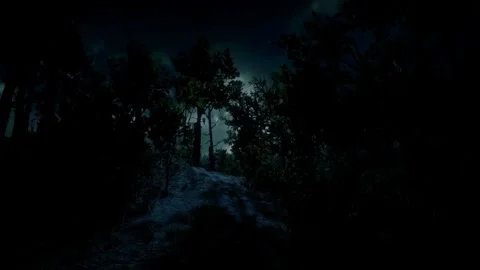 Horror Scene at Night, Dark Forest, Moonlight, Mystical Trees, Scary Shadows Stock Footage 270464201