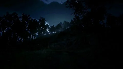 Horror Scene at Night, Dark Forest, Moonlight, Scary Shadows, Mystical Trees Stock Footage 270464207