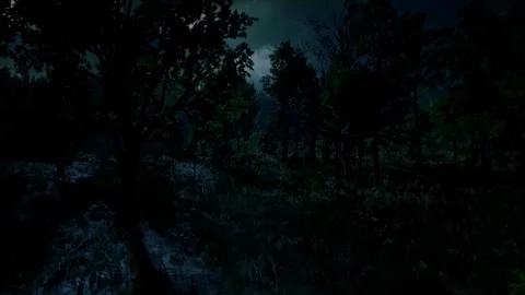 Horror Scene at Night, Dark Forest, Scary Shadows, Moonlight, Mystical Trees Stock Footage 270464211