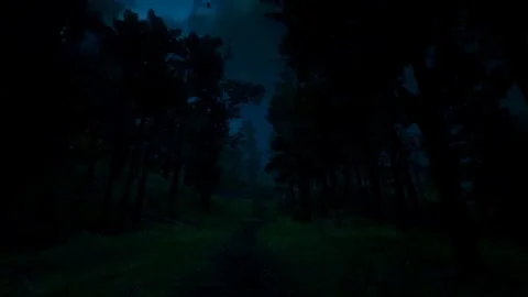 Horror Scene at Night, Moonlight, Dark Forest, Mystical Trees, Scary Shadows Stock Footage 270464218