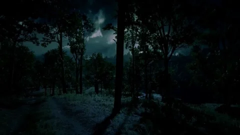 Horror Scene at Night, Moonlight, Mystical Trees, Scary Shadows, Dark Forest Stock Footage 270464217