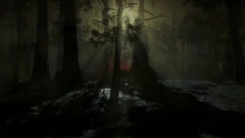 Horror Scene at Night, Mystical Trees, Dark Forest, Moonlight, Scary in the Fog Stock Footage 270464165