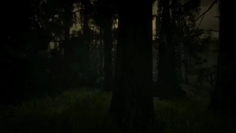 Horror Scene at Night, Mystical Trees, Dark Forest, Scary in the Fog, Moonlight Stock Footage 270464174