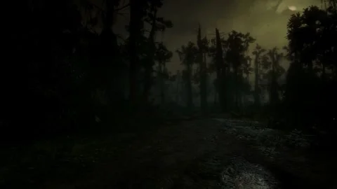 Horror Scene at Night, Mystical Trees, Moonlight, Dark Forest, Scary in the Fog Stock Footage 270464175