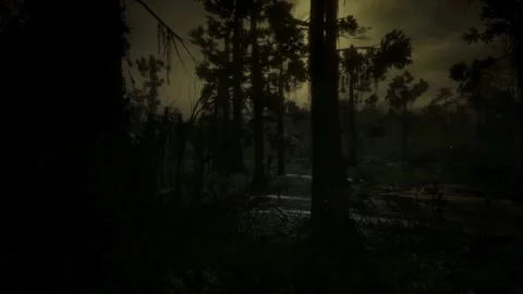 Horror Scene at Night, Mystical Trees, Moonlight, Scary in the Fog, Dark Forest Stock Footage 270464179