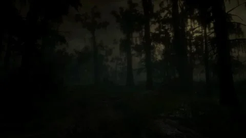 Horror Scene at Night, Mystical Trees, Scary in the Fog, Dark Forest, Moonlight Stock Footage 270464181