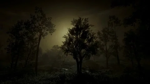 Horror Scene at Night, Mystical Trees, Scary in the Fog, Moonlight, Dark Forest Stock Footage 270464182