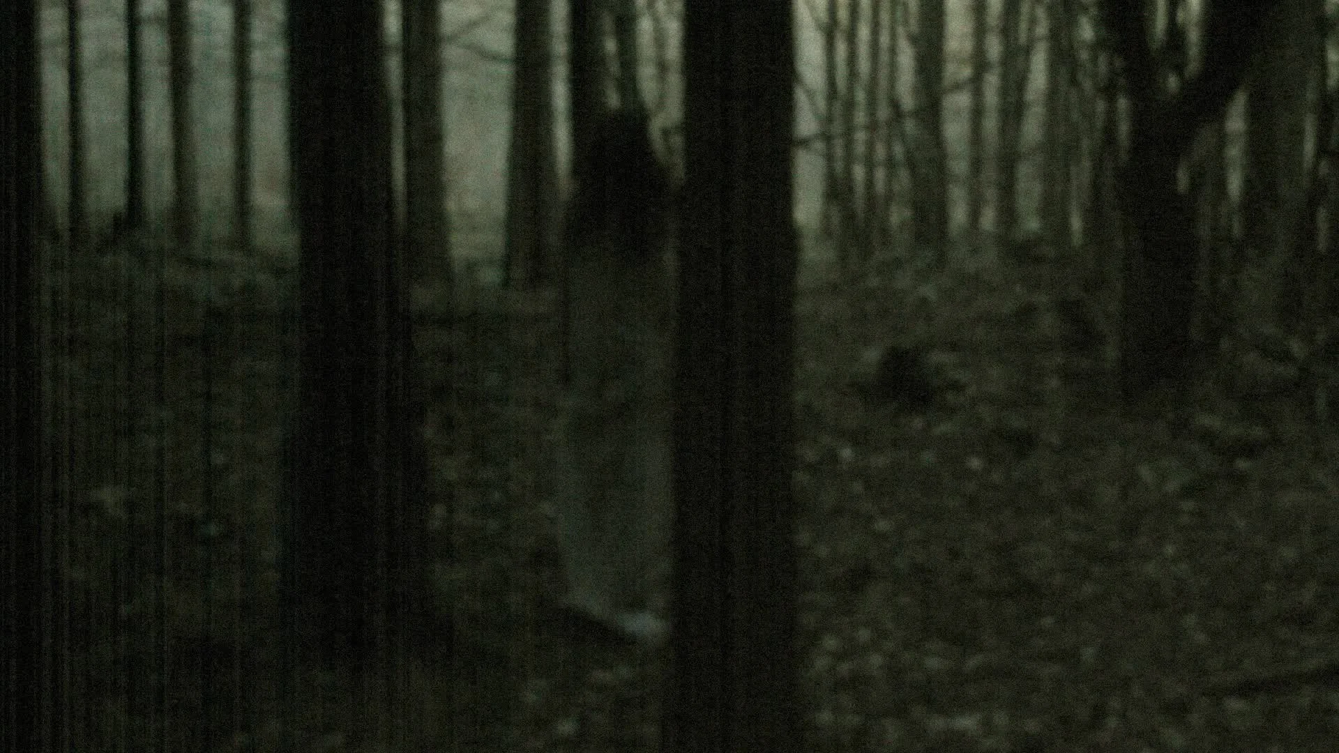 Horror scene of a scary woman in the forest