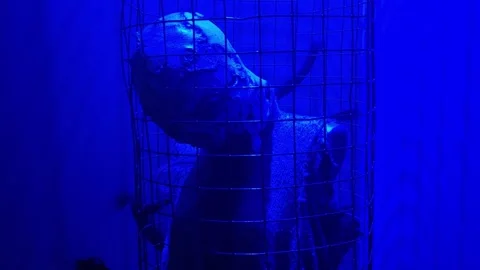 Horror scene. A terrifying caged figure. Houses of fear. Halloween time. Stock Footage 275653070