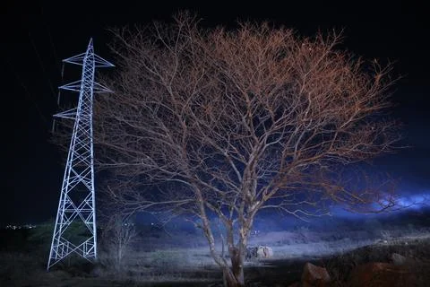 Horror shot of a Tree Night Stock Photos