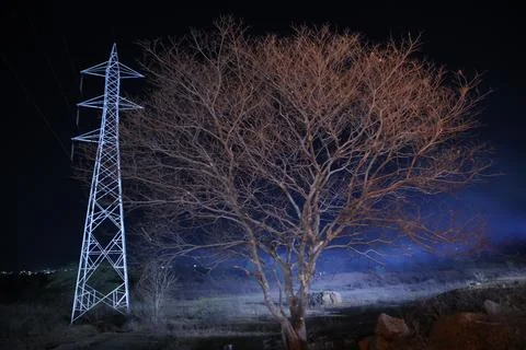 Horror shot of a Tree Night Stock Photos