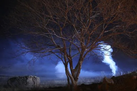 Horror shot of a Tree Night Stock Photos