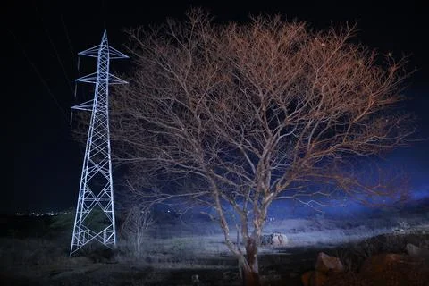 Horror shot of a Tree Night Stock Photos