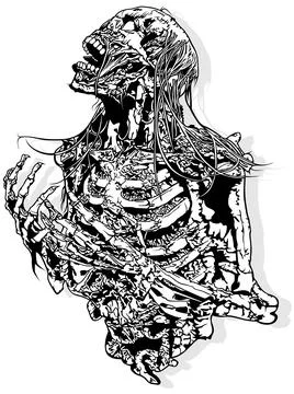 Horror Skeleton Drawing Stock Illustration