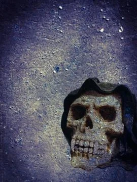 Horror skull with canine teeth Stock Illustration