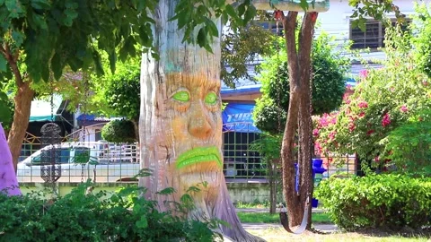 Horror tree with spooky face and swing Khon Kaen Thailand. Stock Footage 316827058