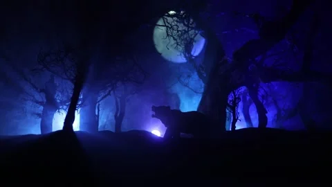 Horror view of big bear in dead forest at night 스톡 동영상 147233871