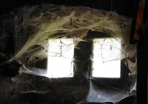 Horror window Stock Photos