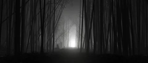 Horror woods with spooky forest path to creepy glowing light in fog Stock Footage