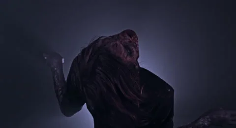 Horror zombie. Vidéo 66758056