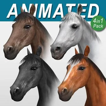 Horse ( 4 in 1 Bundle ) 3D Model