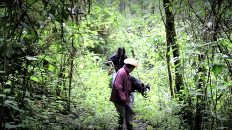 Horse adventure Stock Footage 9137164
