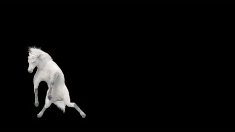 Horse, with Alpha matte. Stock Footage 165887874