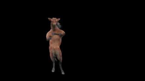 Horse, with Alpha matte. Stockbeeldmateriaal 166163551