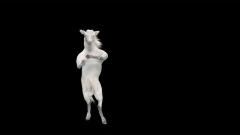 Horse, with Alpha matte. 動画素材 166170268