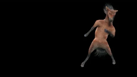 Horse, with Alpha matte. 库存影片 167605926