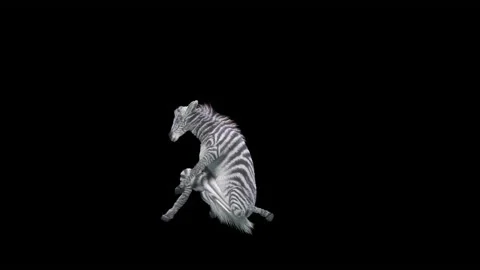 Horse, with Alpha matte. 動画素材 173161297