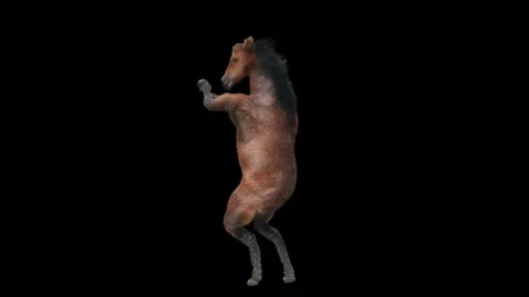 Horse, with Alpha matte. Видео 173201115