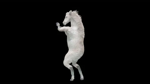 Horse, with Alpha matte. Stock Footage 173208198