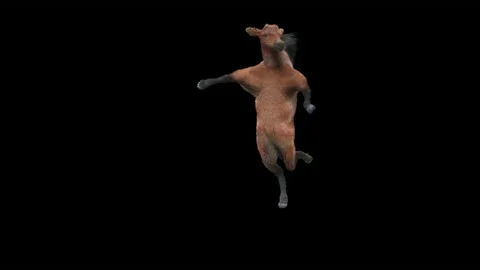 Horse, with Alpha matte. 库存影片 176468165