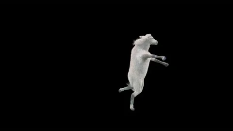 Horse, with Alpha matte. Stock Footage 176468449