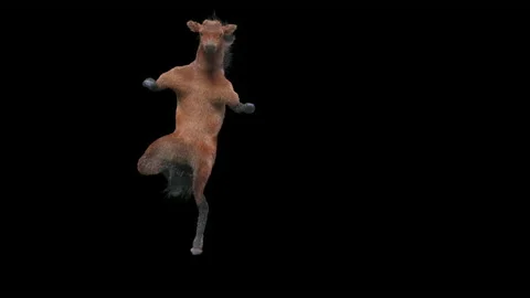 Horse, with Alpha matte. Видео 176693001