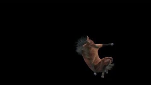 Horse, with Alpha matte. Stockbeeldmateriaal 179549323