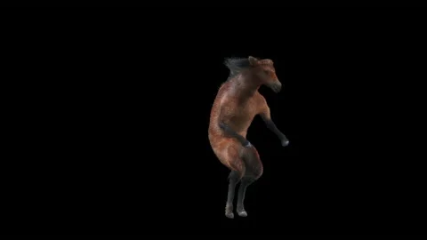 Horse, with Alpha matte. Stock Footage 194308052