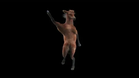 Horse, with Alpha matte. Stock Footage 194312979