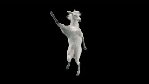 Horse, with Alpha matte. 動画素材 194323382