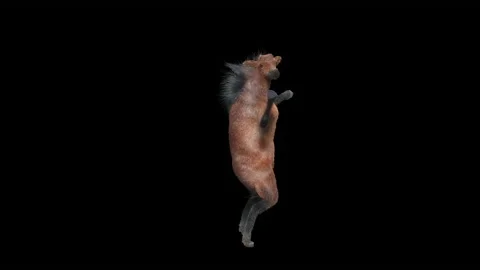 Horse, with Alpha matte. Video stock 196936094