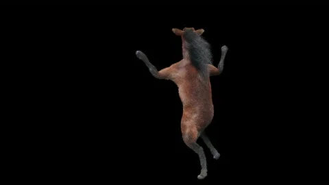 Horse, with Alpha matte. Stockbeeldmateriaal 196936305