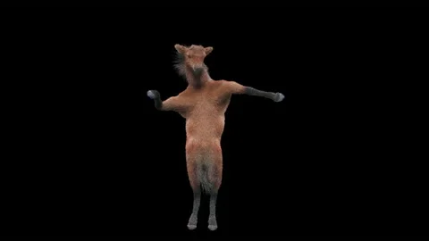 Horse, with Alpha matte. Vídeo Stock 198198714