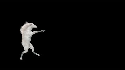 Horse, with Alpha matte. Видео 201486487