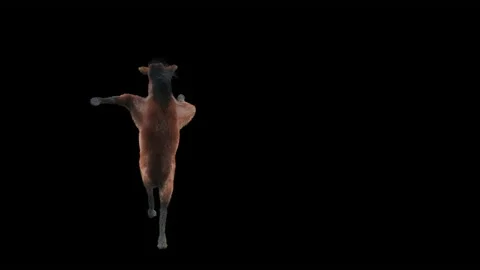 Horse, with Alpha matte. 库存影片 201486667