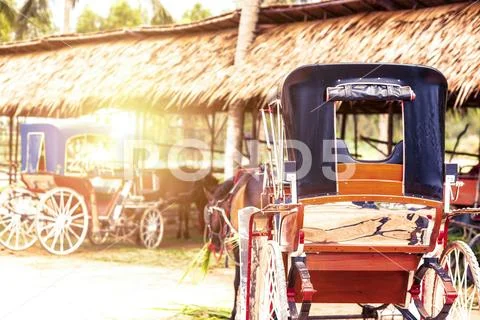 Horse and a beautiful old carriage in old farm. Stock Photos