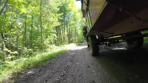Horse and Buggy Stock-Footage 342655830