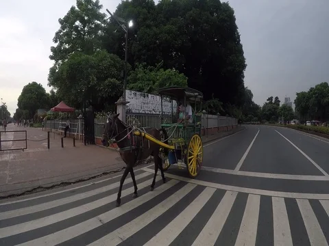 Horse And Carriage Stock Footage 79920006