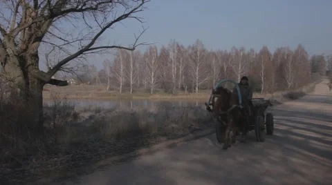 Horse and cart in russian village Stock Footage 59794436